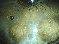 Dampfnudel